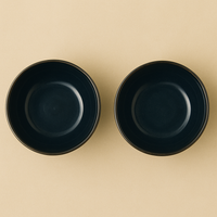 Set of 2 Black Ceramic Bowls | Minimalist Matte Finish Snack & Dessert Bowls | Premium Kitchenware