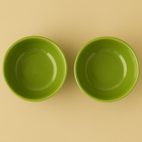 Set of 2 Minimalist Green Ceramic Bowls | Handcrafted Multipurpose Snack, Salad & Dessert Bowls